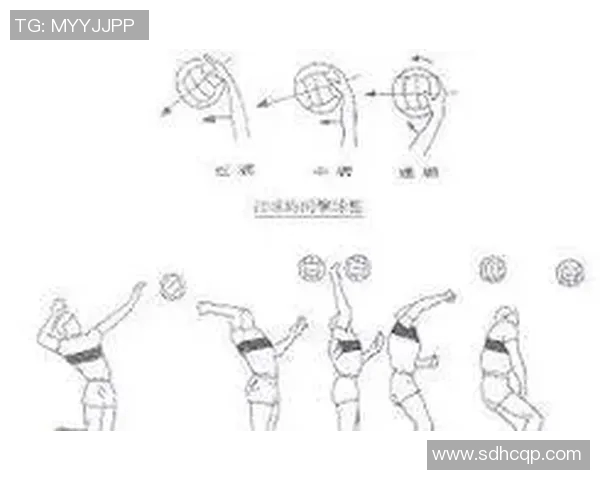 西安排球队的进攻策略揭秘：排球战术深度解析与实战应用